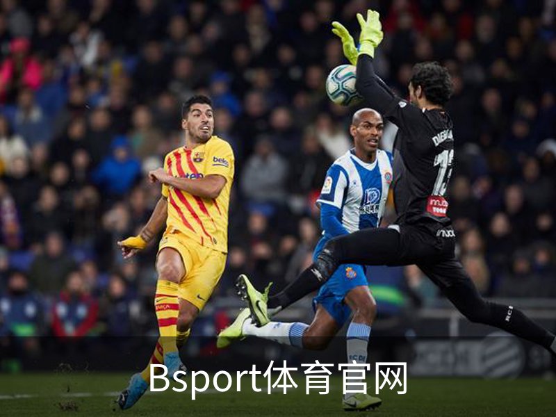 走进Bsport体育官网